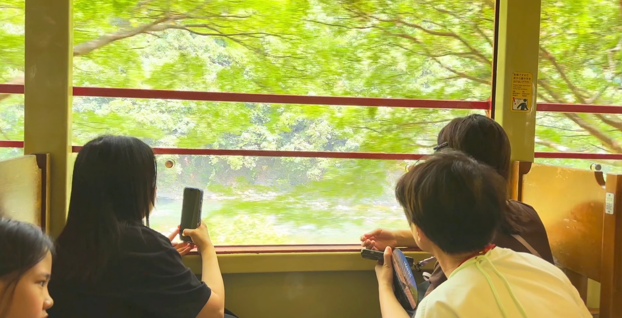 家人在嵐山小火車窗邊拍窗外的綠色山谷